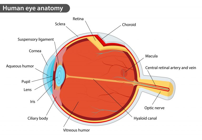 Retina Farmington | Retina Specialist CT | Consulting Ophthalmologists